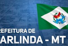 A Importância da Saúde Mental para Candidatos a Concursos Concurso Carlinda MT